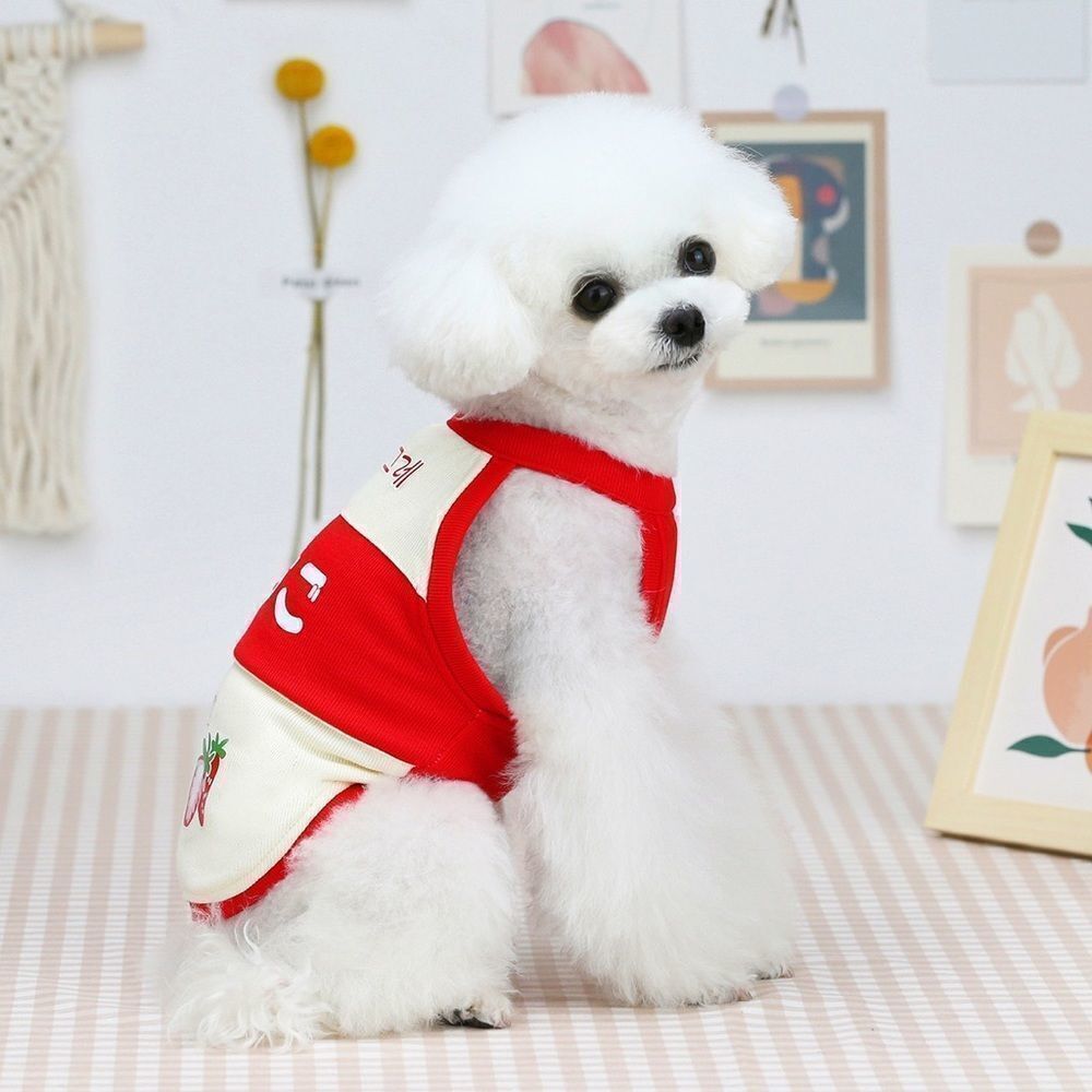 âď¸âCLEARANCE âď¸ Red Strawberry Kawaii MilkâCartoon PetâClothes - Picture 5 of 15
